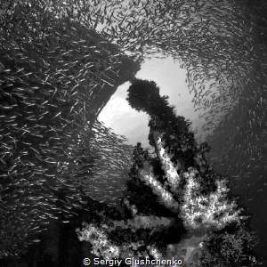 Raja Ampat by Sergiy Glushchenko 